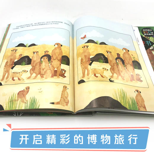 孤独星球 童书系列 旅行百变贴纸游戏书 共6册 儿童玩具书 商品图3