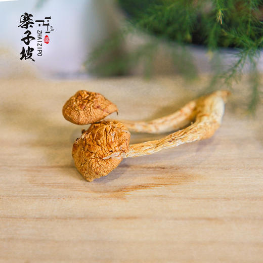 平价优选：寨子坡酱 大兴安岭原产地黄油菇干*半斤/一斤装 商品图2
