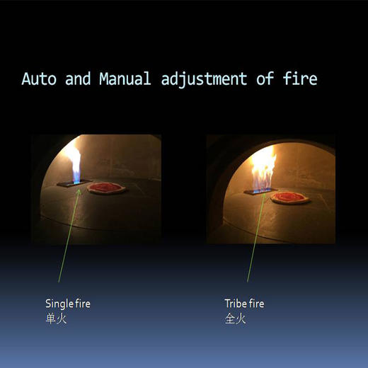WF-1000AN传统窑式 欧罗巴 披萨炉 柴火窑天然气液化气窑炉传 统披萨炉窑炉WF-1000AN 商品图2