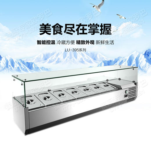 欧罗巴桌面冷柜操作台 沙拉台披萨撒料台 奶茶水果茶冰箱 商品图3