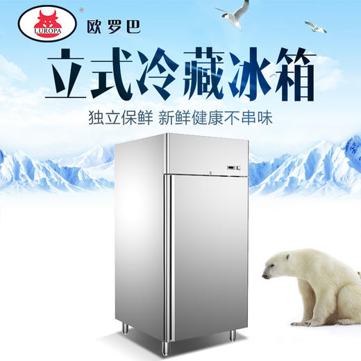 LU-650欧罗巴 不锈钢披萨风冷冷藏柜 发酵柜 面团醒发箱 烤盘柜立式冷柜LU-650 商品图0