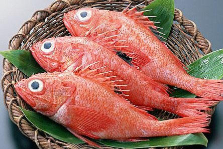 红烧小红鱼