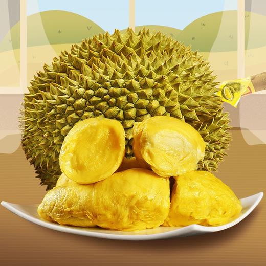 泰国进口甲仑榴莲 皮薄肉嫩 绵密柔滑 个大饱满 精心挑选 骨灰级榴莲