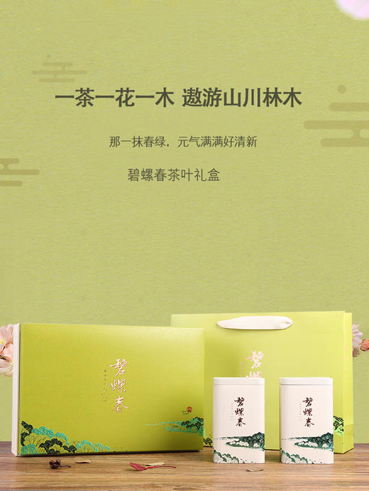 茶叶|明前碧螺春250g/500g 商品图4