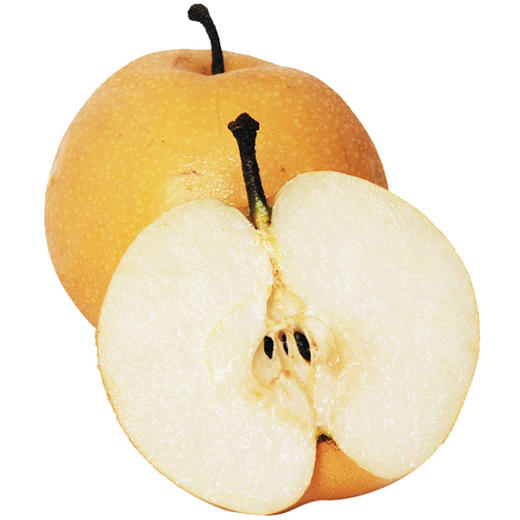 【北疆】【1斤】山东丰水梨 黄金梨1斤(超重部分补差价即可)【4月14日—15日提货】 商品图1