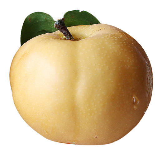 【北疆】【1斤】山东丰水梨 黄金梨1斤(超重部分补差价即可)【4月14日—15日提货】 商品图6