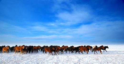 12.18【颂•雪 呼伦贝尔】冰雪那达慕、梦幻阿尔山越野9天摄影 商品图1