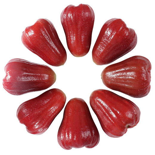 【1颗|大果】莲雾姐 泰国黑金刚莲雾1颗(重约85g—100g)【4月5日—7日提货】【2日内提货】 商品图8