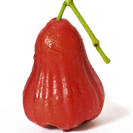 【1颗|大果】莲雾姐 泰国黑金刚莲雾1颗(重约85g—100g)【4月5日—7日提货】【2日内提货】 商品图7