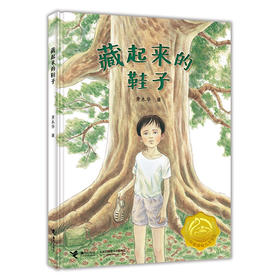 娃娃龙原创图画书 藏起来的鞋子 5-8岁 黄木华