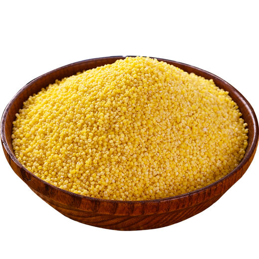 山东特产章丘龙山小米新米宝宝月子米杂粮2.5KG布袋包装黄小米 商品图3