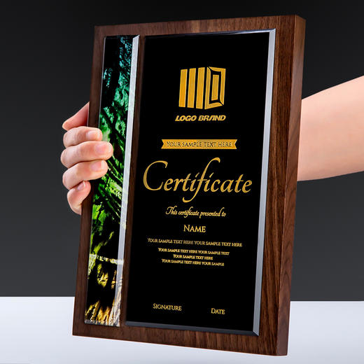 榉木实木奖牌定制定做加盟经销商代理授权牌授权证书荣誉牌匾制作 商品图3