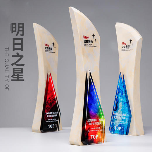 明日之星大理石奖杯水晶定制奖牌授权牌制作彩色定做年会颁奖礼品 商品图0
