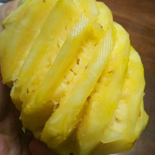 徐闻愚公楼菠萝 国家地标产品 现摘现发还送菠萝刀 营养丰富 酸甜可口