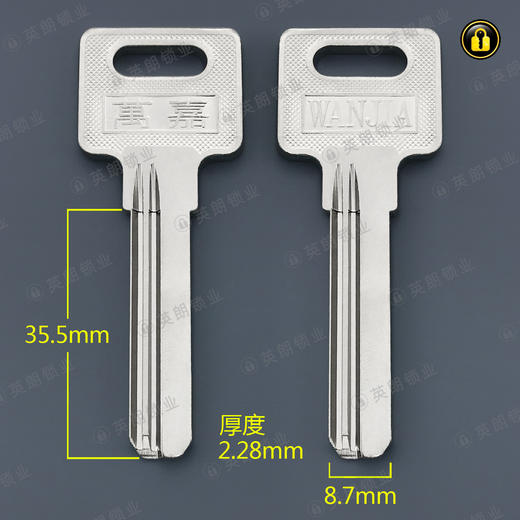 〖4111〗电万嘉右35 商品图0