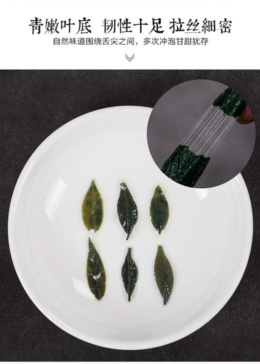 【2025年春茶】神农金康 芽尖杜仲叶90克 原生态真滋补 喝护家人健康 商品图3