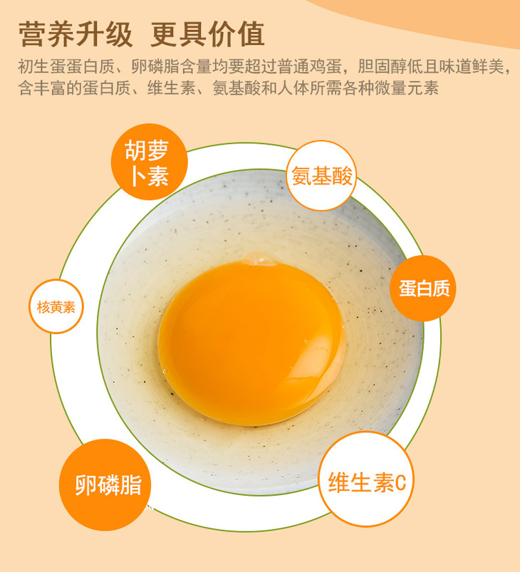 皖北新鲜鸡蛋营养又健康初生蛋