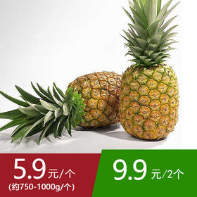【29号提货】徐闻金菠萝 单果约0.75-1kg