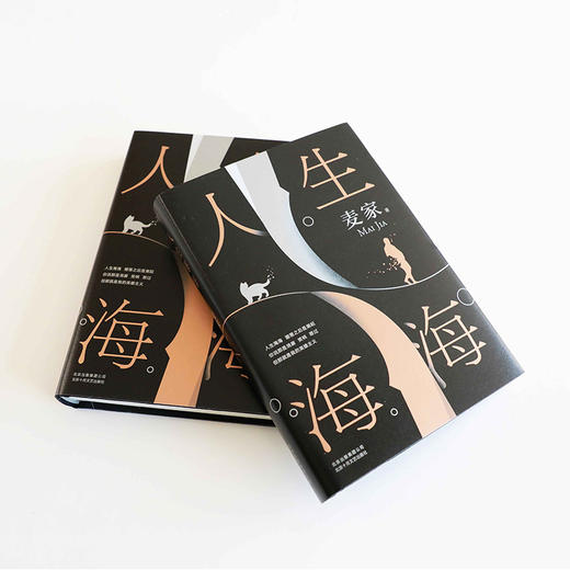 人生海海 麦家著 茅盾文学奖得主2019新作 风声解密暗算刀尖 莫言陈坤董卿 现当代文学 商品图4