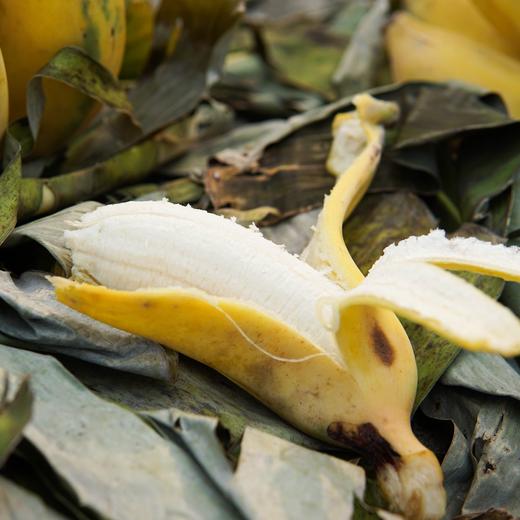 生态粉蕉 | 合作生产 *Eco-Dwarf banana | Coproduction 商品图4