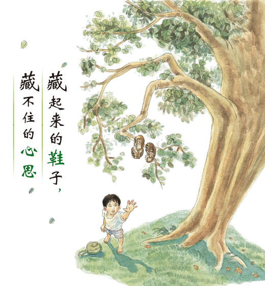 娃娃龙原创图画书 藏起来的鞋子 5-8岁 黄木华 商品图6
