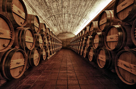 穆加里奥哈桃红葡萄酒2017 Bodegas Muga Rosado 商品图3