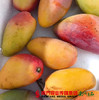 【29号提货】自然熟海南贵妃芒  2kg±0.15kg/份 商品缩略图2