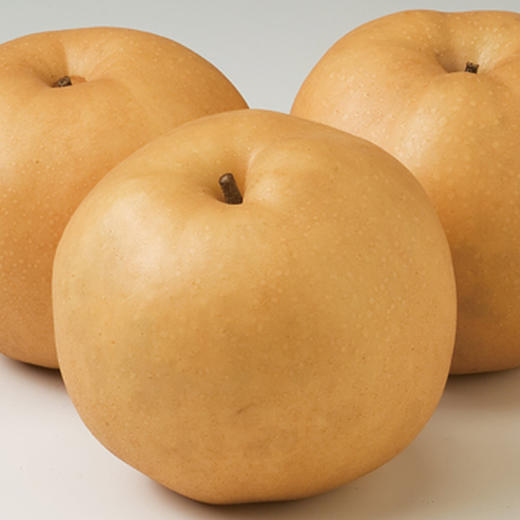 【北疆】【1斤】山东丰水梨 黄金梨1斤(超重部分补差价即可)【4月14日—15日提货】 商品图8