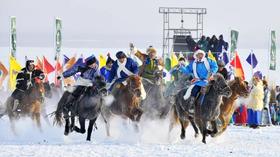 12.22呼伦贝尔冬季那达慕盛会、雪地飞鹤、东北虎雄姿摄影9天