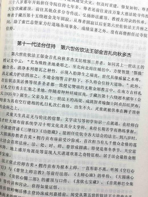 大圆满传承史是一部较好的文化遗产整理著作，它是对文化资料的一次系统整理，跨度大，涵盖广 商品图8