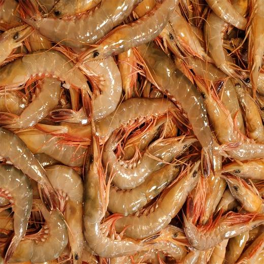 限量供应野生滑皮虾海鲜生鲜海虾新鲜剑虾呛虾条虾约400克