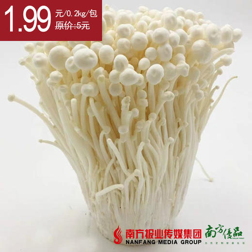 【30号提货】新鲜金针菇  0.2kg/包 商品图0