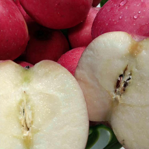 洛川苹果 约7斤 12颗 （24－72小时发货）礼盒装 商品图8