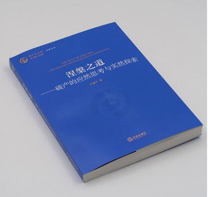 涅槃之道：破产的应然思考与实然探索 商品图2