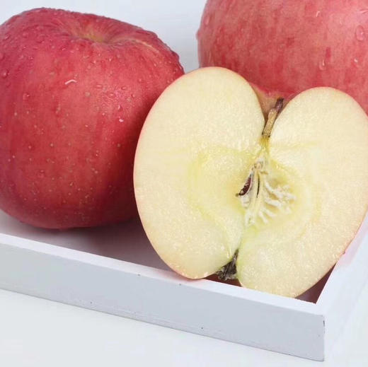 洛川苹果 约7斤 12颗 （24－72小时发货）礼盒装 商品图4