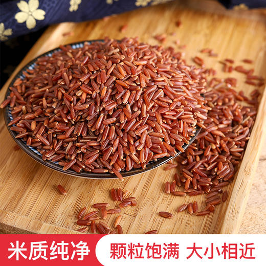 优选新品丨海水稻 海红香米 海边种植 1000g/盒*2 商品图2