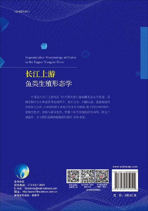 长江上游鱼类生殖形态学 商品图1