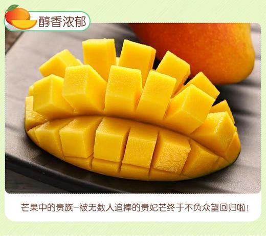 预售隔天到货水仙芒果一箱 商品图4
