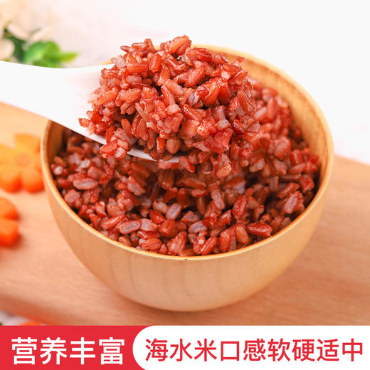 优选新品丨海水稻 海红香米 海边种植 1000g/盒*2 商品图1