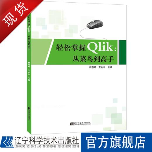 《轻松掌握Qlik：从菜鸟到高手》 商品图0