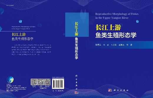长江上游鱼类生殖形态学 商品图3