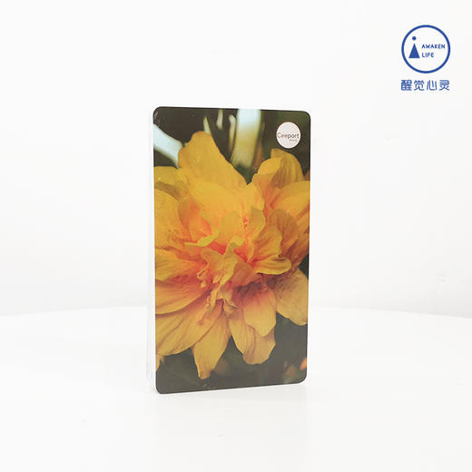 现货｜荷欧波诺波诺正版 清理工具 Ceeport 修蓝博士内在小孩沟通卡 商品图2