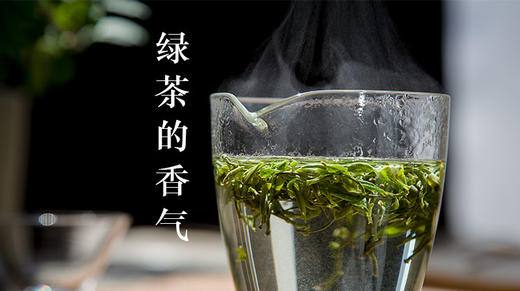 4、绿茶的香气 商品图0