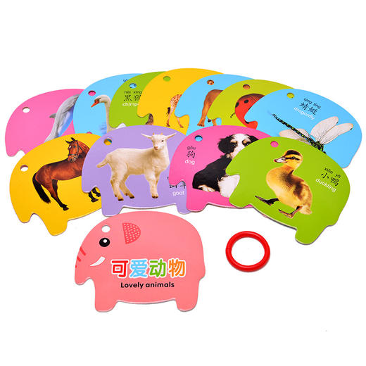 婴儿早教卡礼盒6册 宝宝书籍 0-3岁认物识图撕不烂早教认知书 启蒙