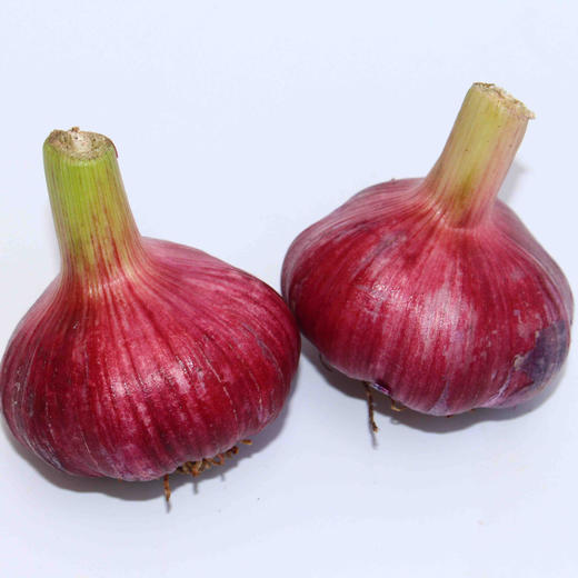 全国包邮不发货区域见链接详情紫皮蒜5斤装也称珍珠蒜鲜嫩多汁辛辣