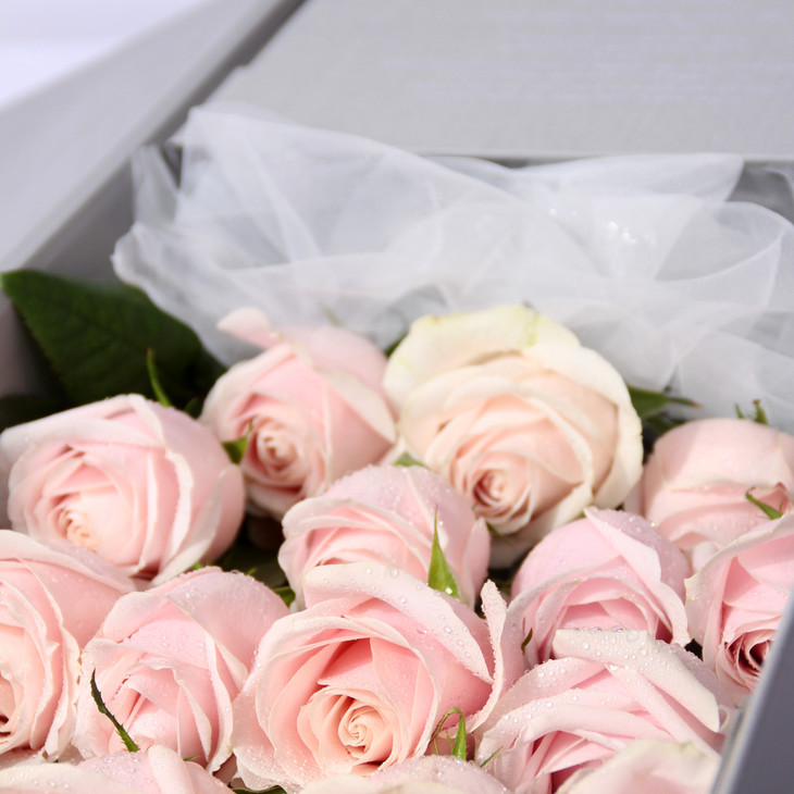 经典rose系列19支粉玫瑰北京5环内免费送花上门