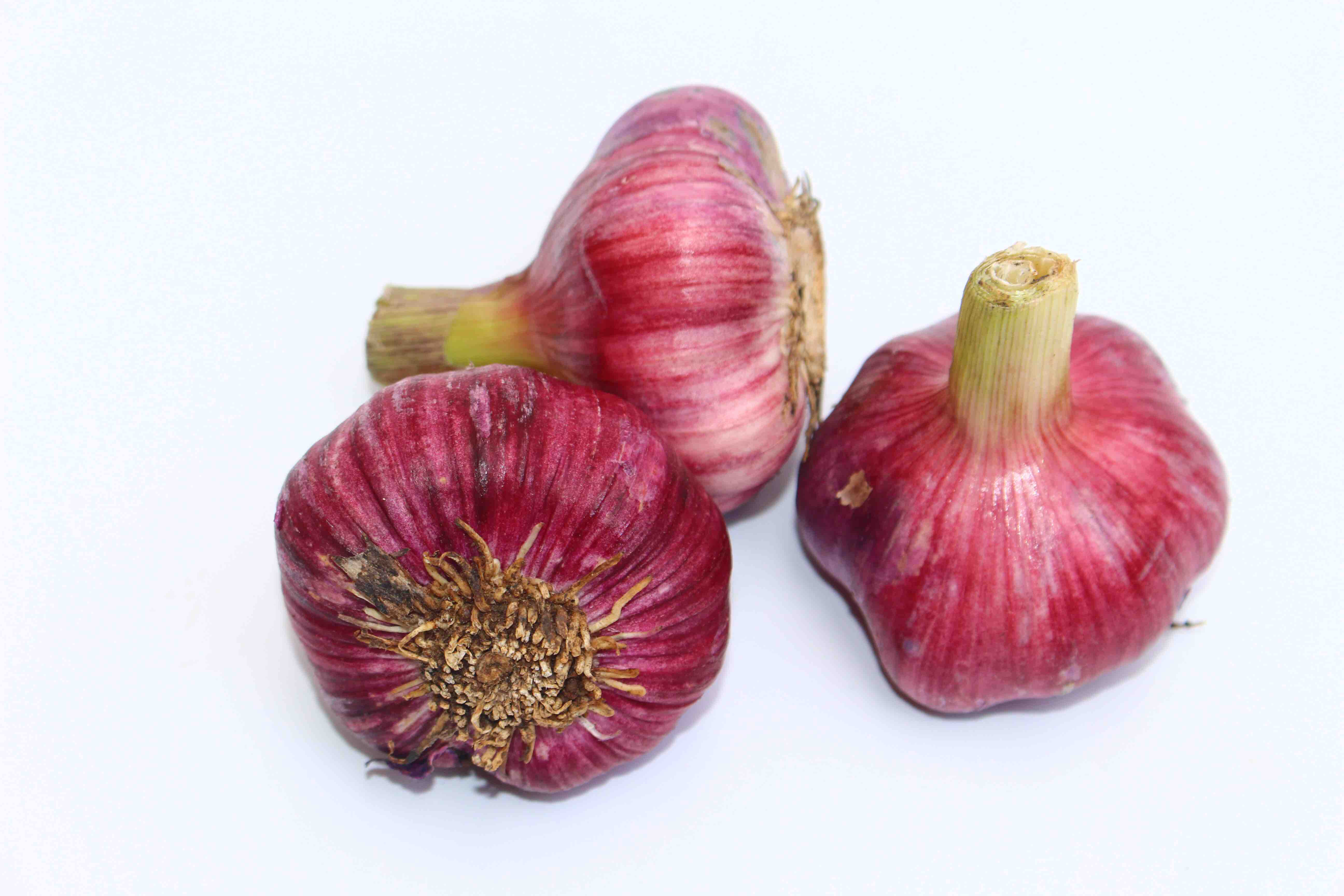 【全国包邮,不发货区域见链接详情】紫皮蒜5斤装 也称 珍珠蒜 , 鲜嫩