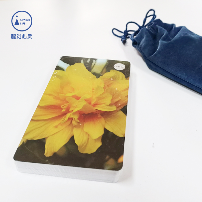 现货｜荷欧波诺波诺正版 清理工具 Ceeport 修蓝博士内在小孩沟通卡