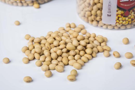 新田大豆 商品图1