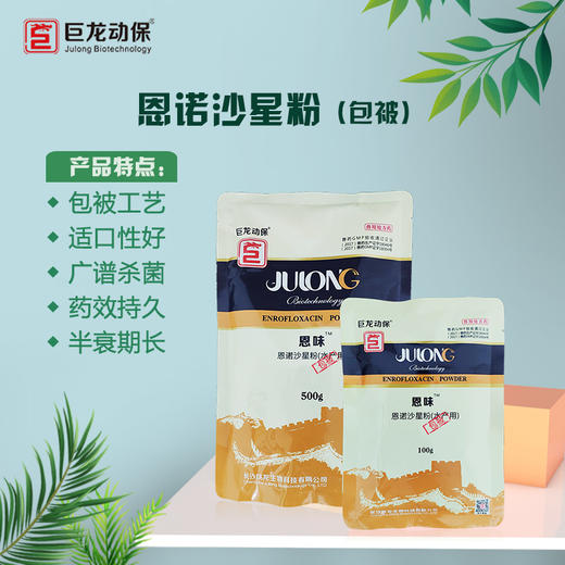 恩诺沙星包被恩味畜禽病毒性细菌性呼吸道特效畜禽药猪药禽药100g/500g 商品图2